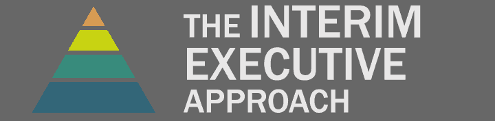 The 4 Key Parts of Strategic Plan Execution and Why Interim Executives Excel at Them All