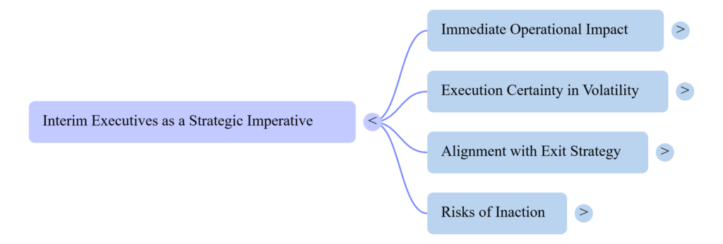 Mind map showing benefits of using interim executives to drive change in companies